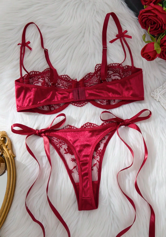 Cassandra 2 piezas de lencería sexy con bordado romántico con cordones y tanga para mujer